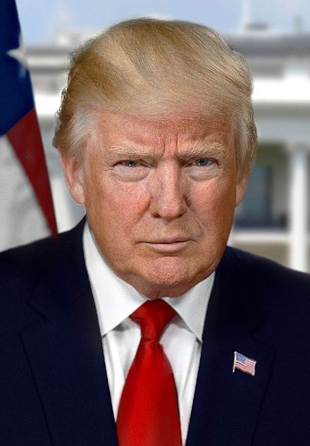 [Image: donald_trump_president-elect_portrait_cropped.jpg]